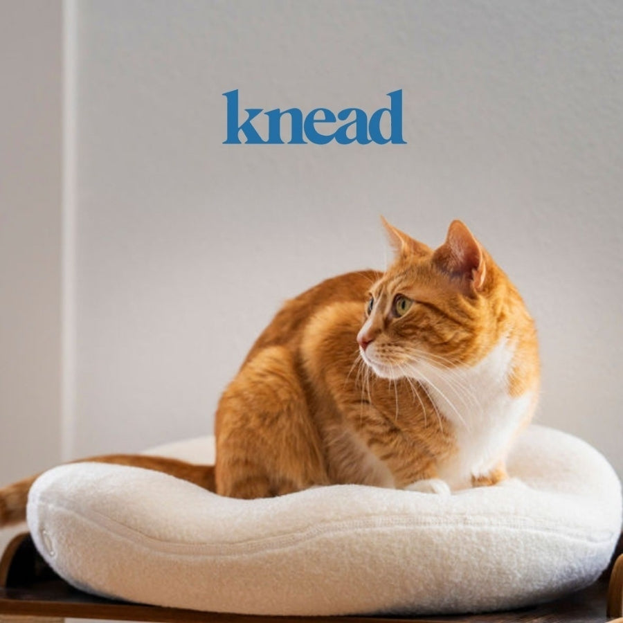 Soulagement de l’arthrose