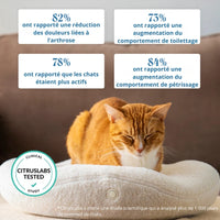 Knead - Lit Thérapeutique Chauffant pour Chat