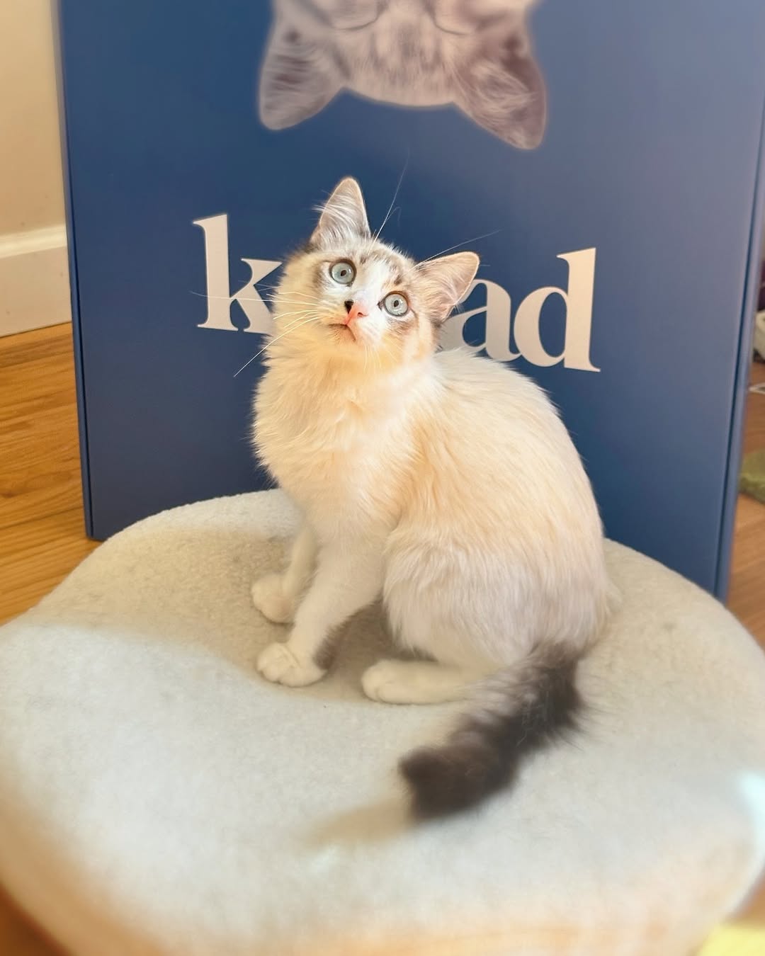 Housse lavable et remplaçable