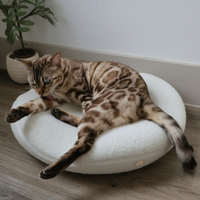 Knead - Lit Thérapeutique Chauffant pour Chat