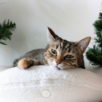 Knead - Lit Thérapeutique Chauffant pour Chat