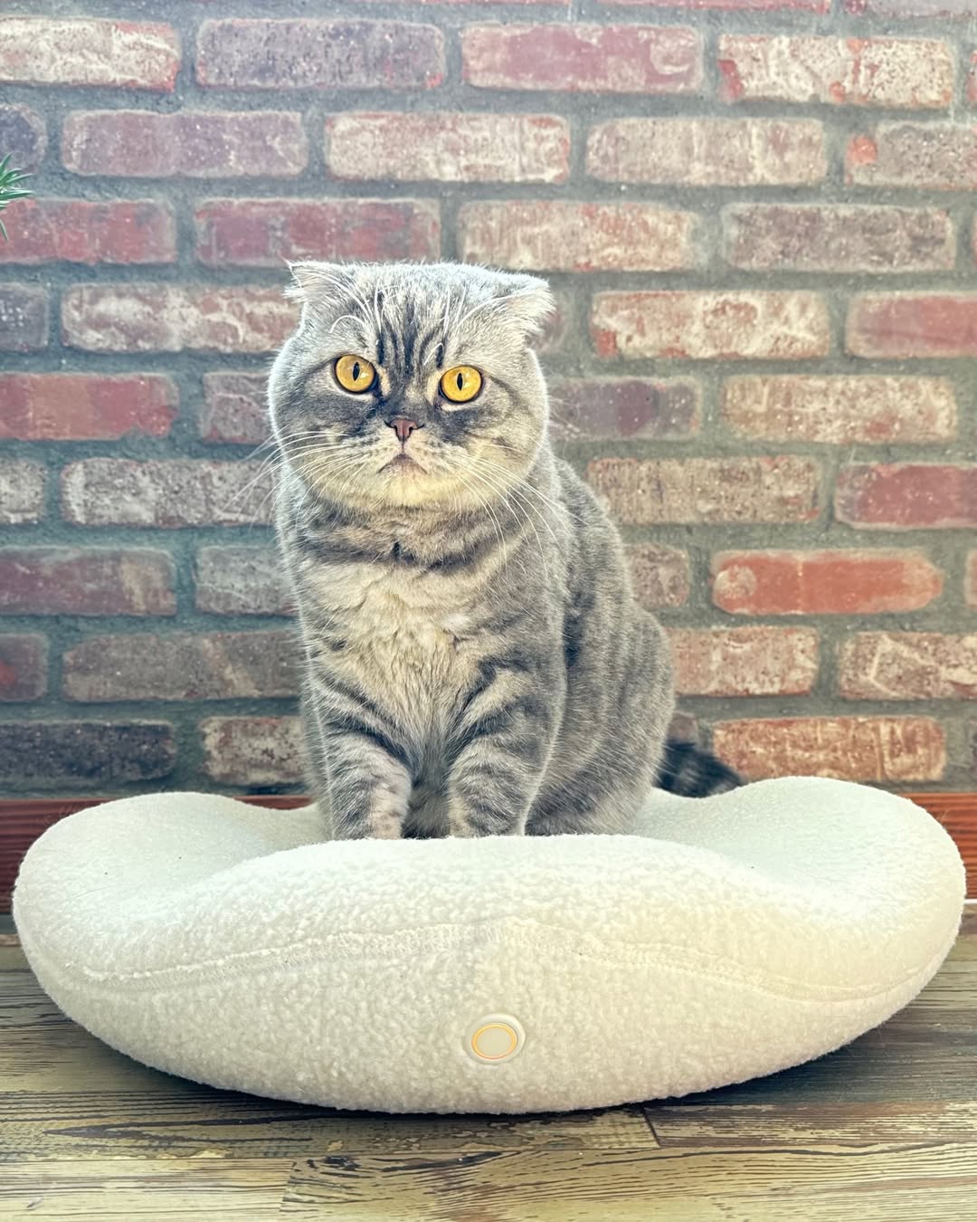 Soulagement sans médicament