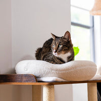 Knead - Lit Thérapeutique Chauffant pour Chat