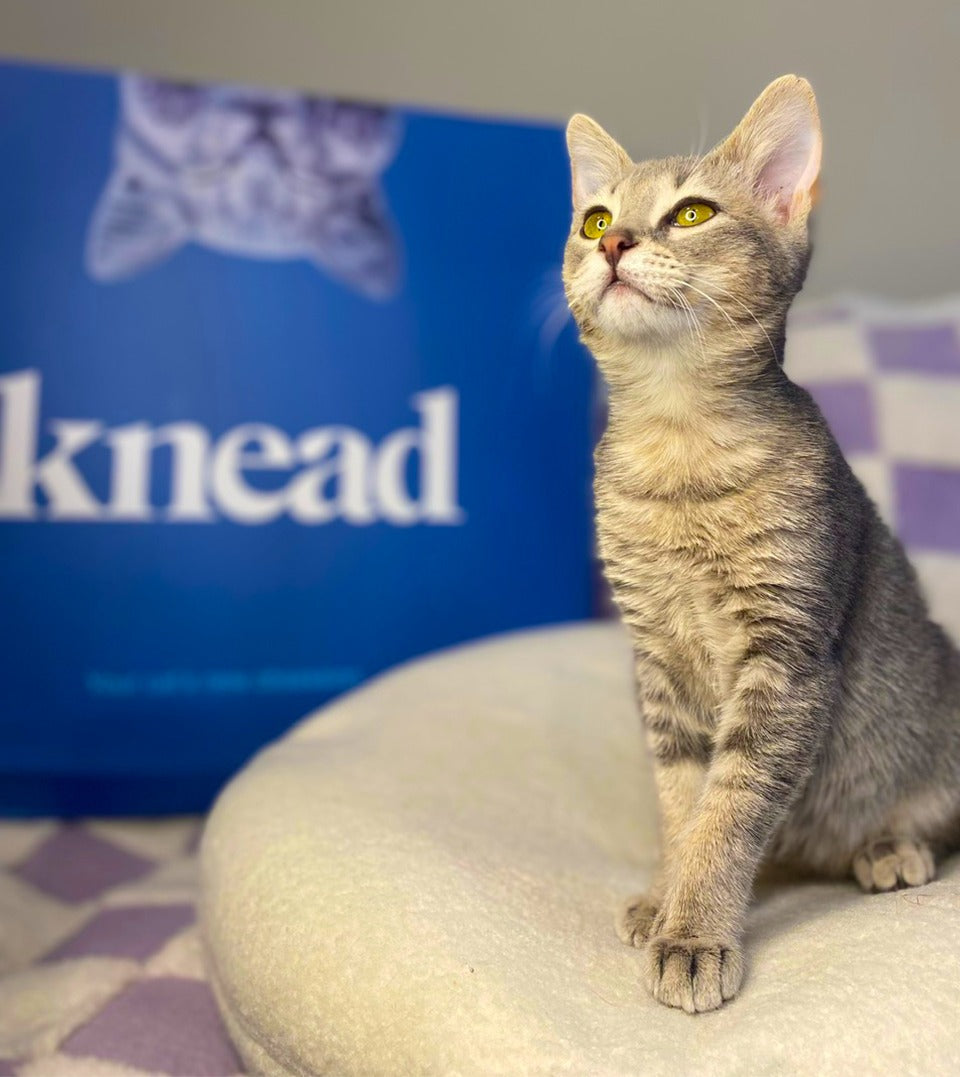 Certifié SGS pour votre tranquillité d’esprit